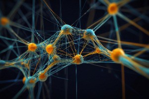 Typecho SEO优化全攻略：提升博客搜索引擎排名