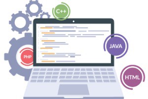 Typecho内容审查机制：保障内容质量