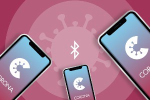 Typecho SEO深度优化：提升搜索排名