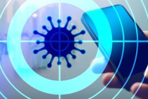 Typecho安全加固实战：构建安全防线