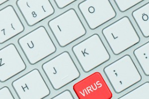 Typecho RSS订阅优化：扩大内容传播